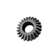 bevel gear